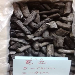 BBQ Binchotan Charcoal Split Shape Grade L (Width: 2–4cm)