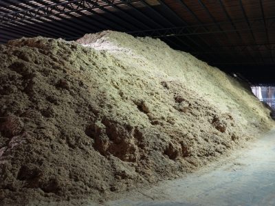 DSC04594_全能王看图